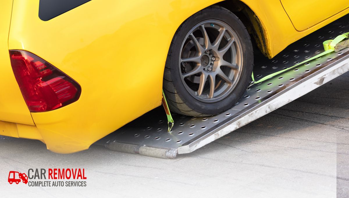 Reducing Your Carbon Footprint, One Old Car at a Time.