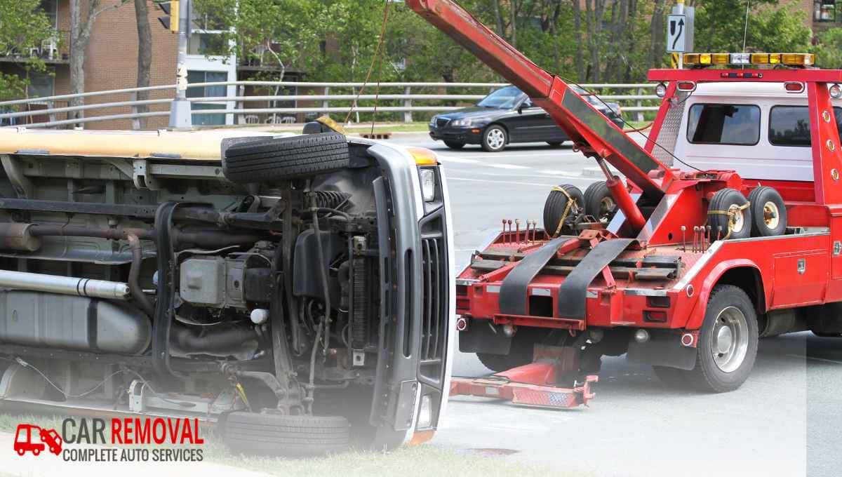 Reducing Your Carbon Footprint, One Old Car at a Time.