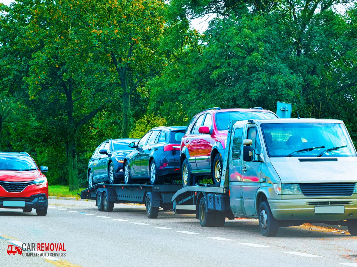 We Buy Any Car: From Hatchbacks and Sedans to SUVs.