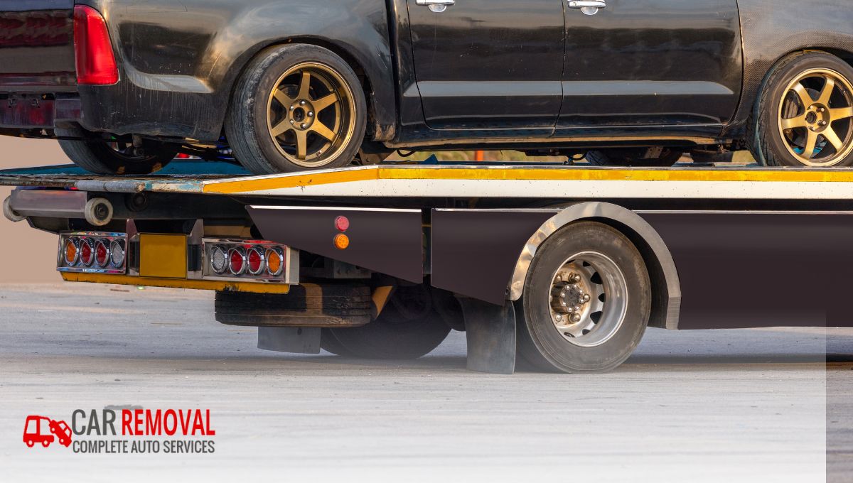 Reducing Your Carbon Footprint, One Old Car at a Time.